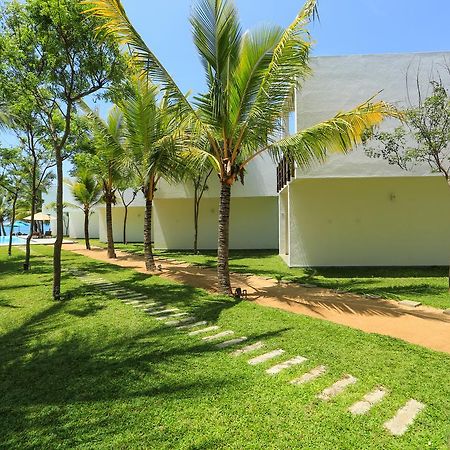 Arugambay Roccos Otel Arugam Bay Dış mekan fotoğraf