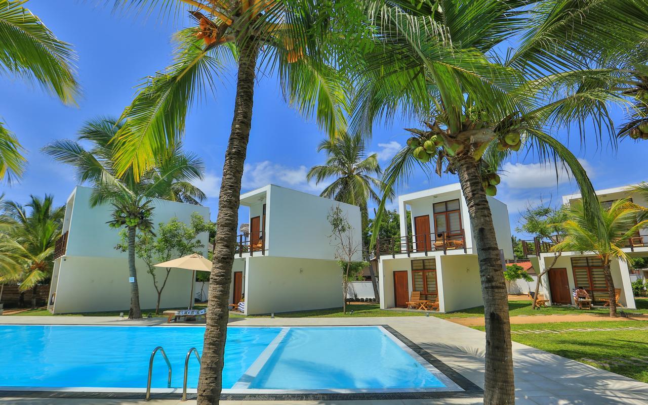Arugambay Roccos Otel Arugam Bay Dış mekan fotoğraf